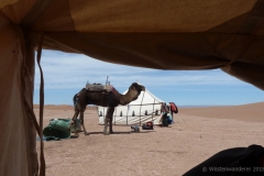 gal_maroc18_211_079HS