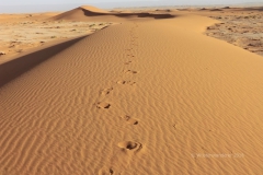 gal_maroc18_222_043MD
