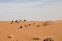 gal_maroc18_224_165NB