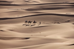 gal_maroc18_226_124MR