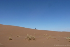 gal_maroc18_232_082HS