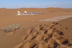 gal_maroc18_235_096MS