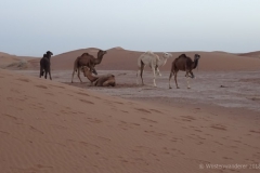 gal_maroc18_260_104MS