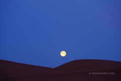 gal_maroc18_262_091OB
