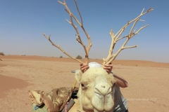 gal_maroc18_270_089MD