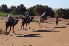 gal_maroc18_273_112MS