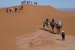 gal_maroc18_275_150MS