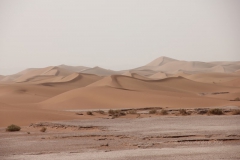 gal_maroc18_276_154MR
