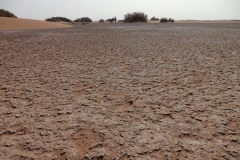 gal_maroc18_285_061MD