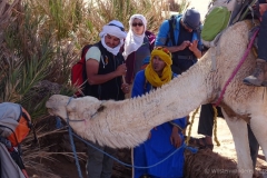gal_maroc18_290_181MS