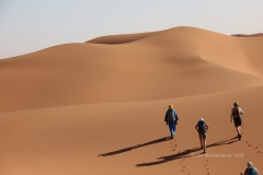 gal_maroc18_293_185MR