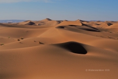 gal_maroc18_295_116LR