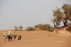 gal_maroc18_297_199MR