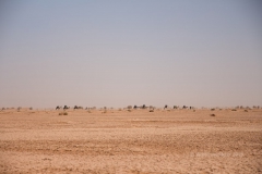 gal_maroc18_298_201NB