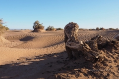 gal_maroc18_328_130LR