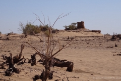 gal_maroc18_338_179MS