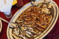 gal_maroc18_345_134LR