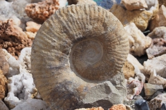 gal_maroc18_362_144LR