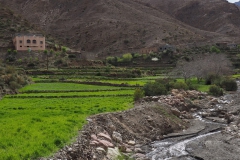 gal_maroc18_365_142LR