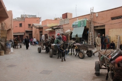 gal_maroc18_381_246MR
