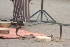 gal_maroc18_385_120CK