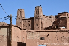 Marokko26_20260416-082013_EB_Wandern_web