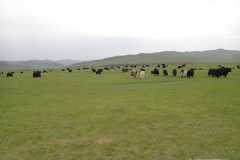 031_Mongolei_2023-06-17_13.38.20_BFK