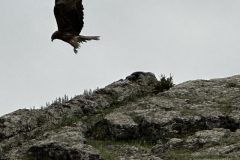 037_Mongolei_2023-06-17_17.59.16_TL