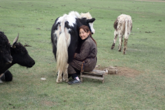 039_Mongolei_2023-06-18_07.50.59_BFK