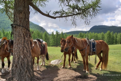 049_Mongolei_2023-06-18_10.32.40_AS