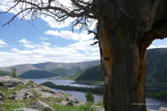 073_Mongolei_2023-06-19_14.54.28_BFK