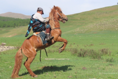 080_Mongolei_2023-06-20_10.06.56_AH