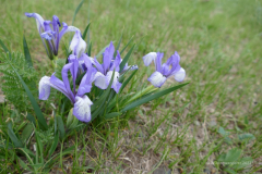 102_Mongolei_2023-06-21_18.04.16_BFK