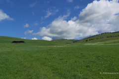 119_Mongolei_2023-06-24_10.24.59_AS