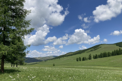 122_Mongolei_2023-06-24_12.25.20_BS
