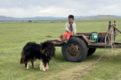 125_Mongolei_2023-06-25_10.08.40_BS