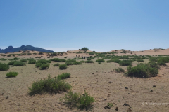 140_Mongolei_2023-06-26_10.14.24_AS