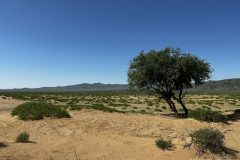 142_Mongolei_2023-06-26_10.16.33_TL