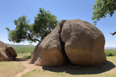 149_Mongolei_2023-06-26_12.31.37_BS