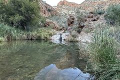 NAM-006a_NAM_20250513-173716_BS_web