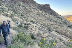 NAM-013_NAM_20250514-075855_BS_web