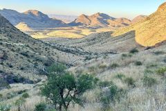 NAM-014_NAM_20250514-075936_BS_web