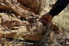 NAM-016_NAM_20250514-093805_BS_web