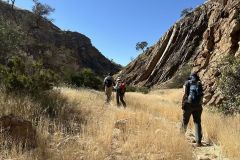 NAM-017_NAM_20250514-105035_BS_web