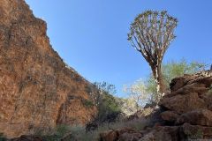 NAM-019_NAM_20250514-114647_BS_web