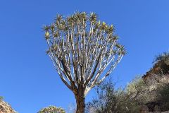 NAM-019a_NAM_20250528-111228_BS_web