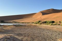 NAM-031_NAM_20250515-081154_BS_web