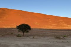 NAM-031b_NAM_20250529-075217_BS_web