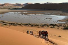 NAM-032a_NAM_20250515-082711_BS_web