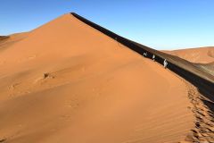 NAM-032b_NAM_20250529-084834_BS_web